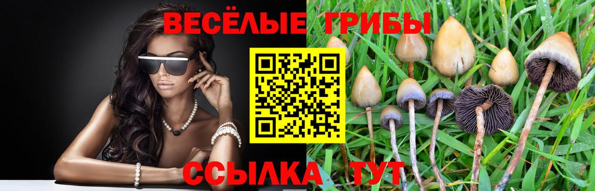 Псилоцибиновые грибы ЛСД  магазин  наркотиков  Азнакаево  Псилоцибиновые грибы мухоморы  Вход с VPN 